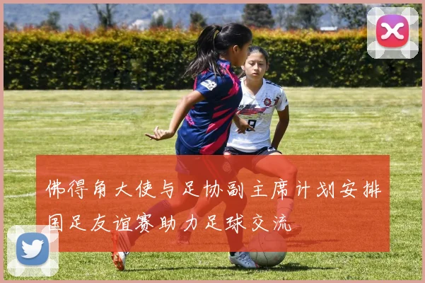 佛得角大使与足协副主席计划安排国足友谊赛助力足球交流